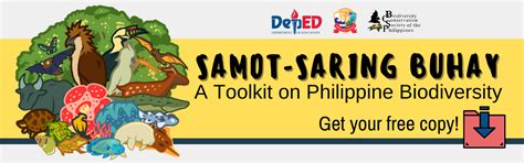 deped resources|CCE DepEd References and Resources .